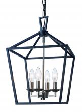Trans Globe 10264 BK/BN - 4LT PENDANT-BIRD CAGE-BK/BN
